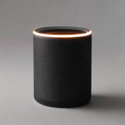 Enceinte Connectée Vocale